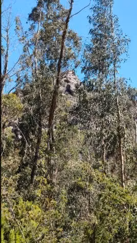 Terreno frente a Casa Molle, El Molle Vicuña - Imagen 6
