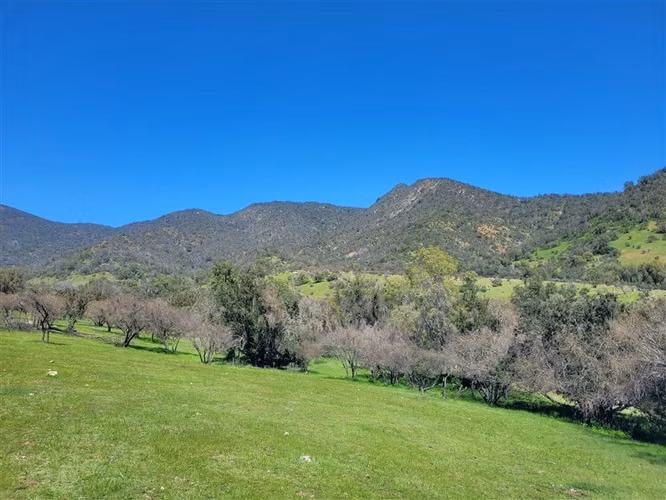 Campo de 70 HA en venta en Alhué.
