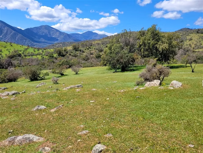 Campo de 70 HA en venta en Alhué.