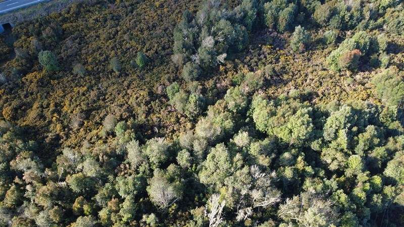 Agrícola en venta en Calbuco