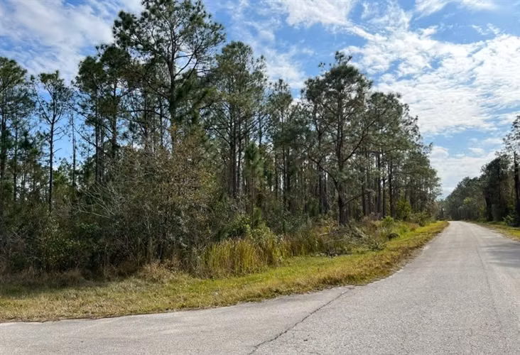 Parcelas en venta Florida USA