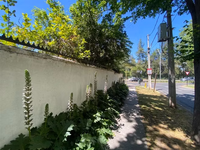 Venta Casa Las Condes, 4 Dormitorios, amplio Jardín.