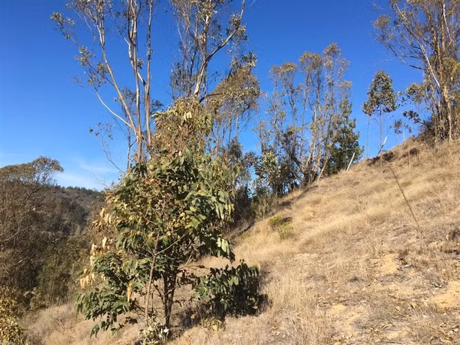Sitio en venta en Pupuya Vista al Mar