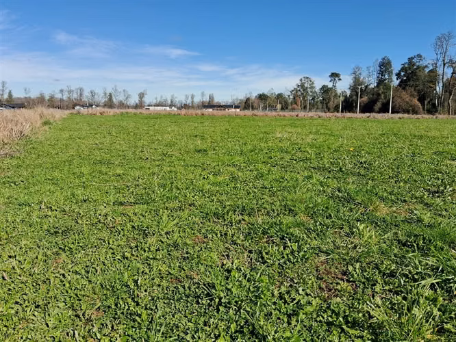 Venta parcela Bosques del Tijeral Osorno