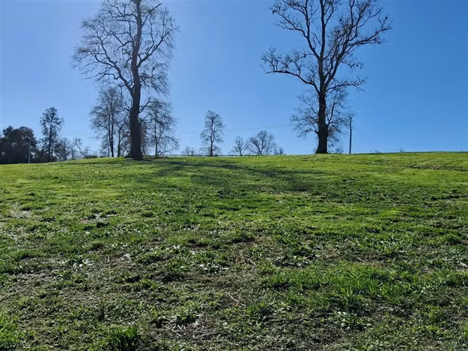 Venta parcela Bosques del Tijeral Osorno