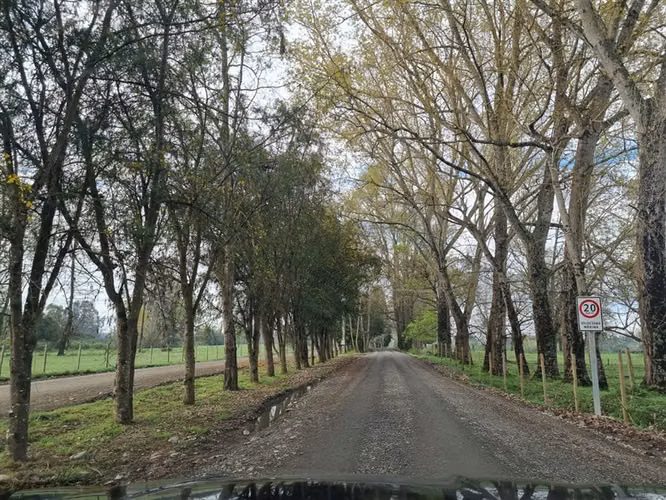 Venta parcela Bosques del Tijeral Osorno