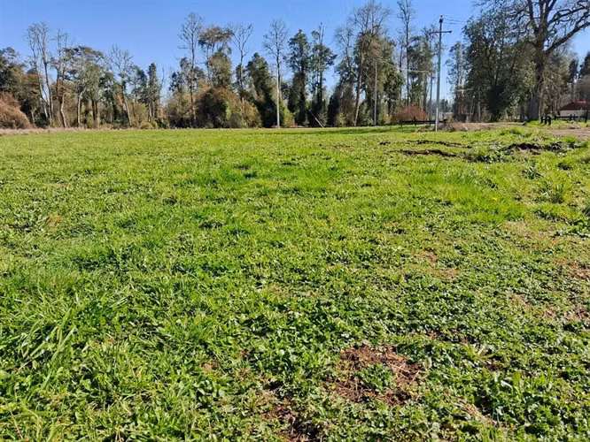 Venta parcela Bosques del Tijeral Osorno