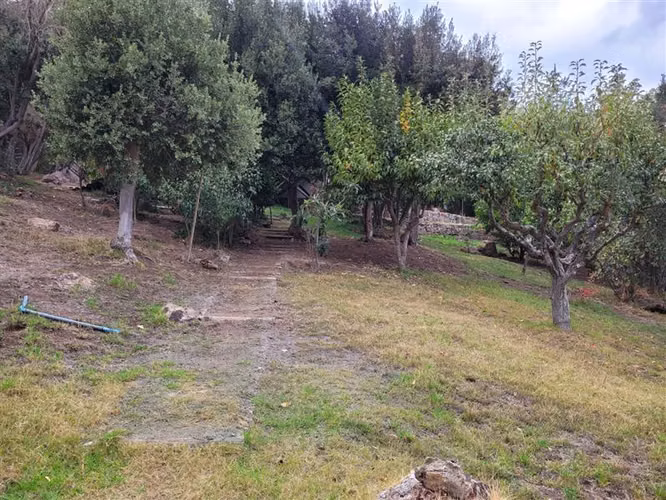 Parcela en venta en Paine