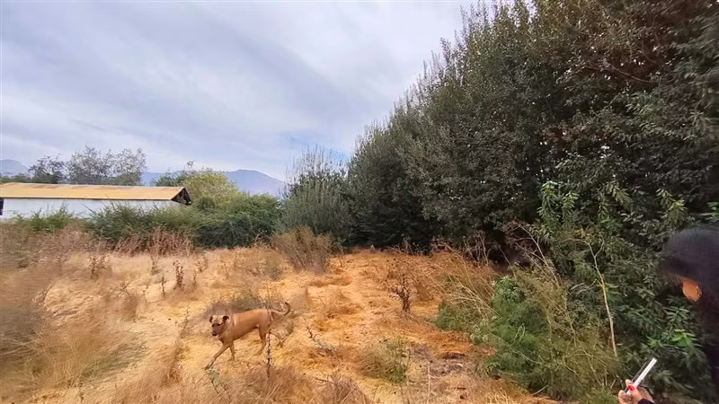 Sitio en venta en Paine