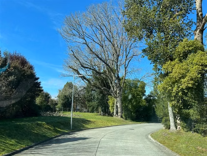 SE RECIBEN OFERTAS! Terreno 5000m2 en venta en Puerto Varas