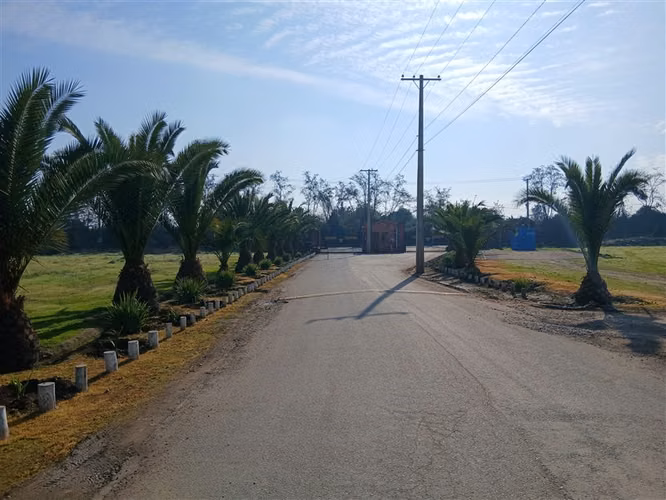 5.000 mt2 Condominio Don Santiago Talagante