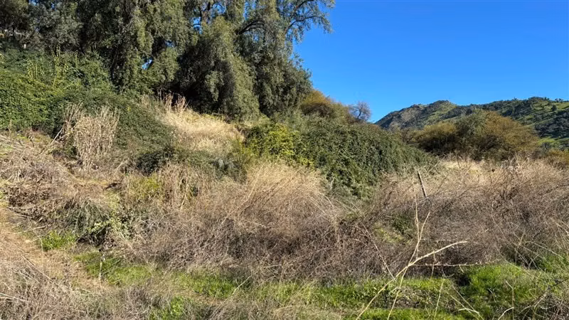 Parcela en venta en Pirque