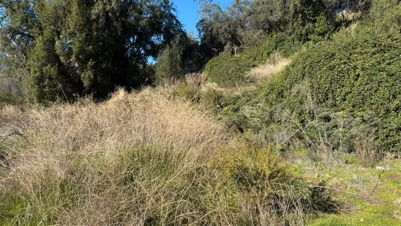 Parcela en venta en Pirque