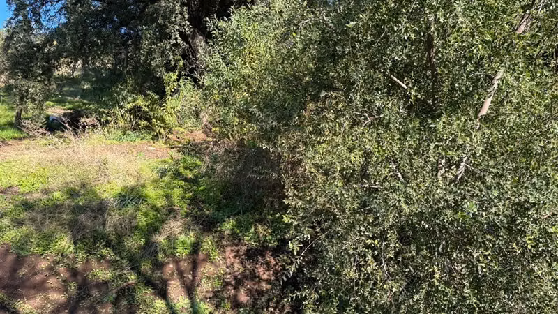 Parcela en venta en Pirque - Imagen 23