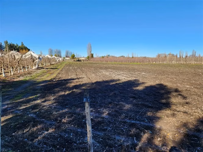 Agrícola en venta en Villa Alegre