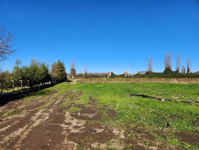 Agrícola en venta en Villa Alegre