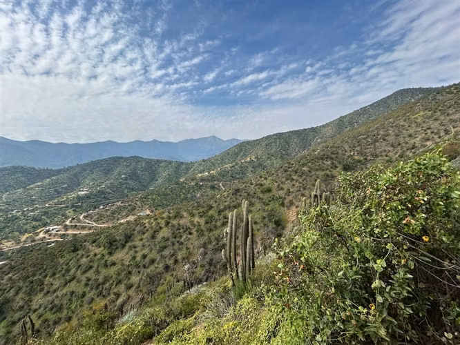 Sitio en venta en Curacaví