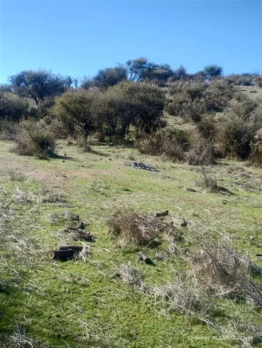 Sitio en venta en San Pedro - Imagen 8