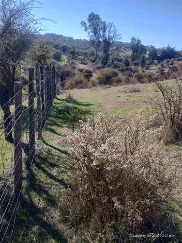 Sitio en venta en San Pedro - Imagen 10