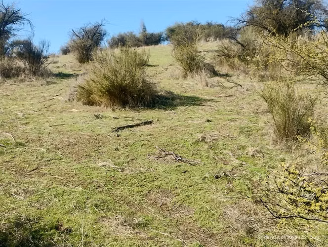 Sitio en venta en San Pedro - Imagen 16