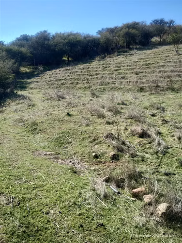 Agrícola en venta en San Pedro