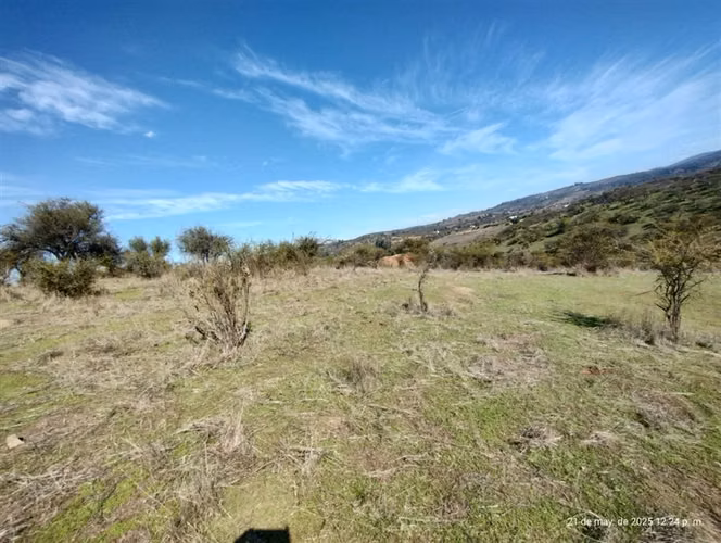 Agrícola en venta en San Pedro