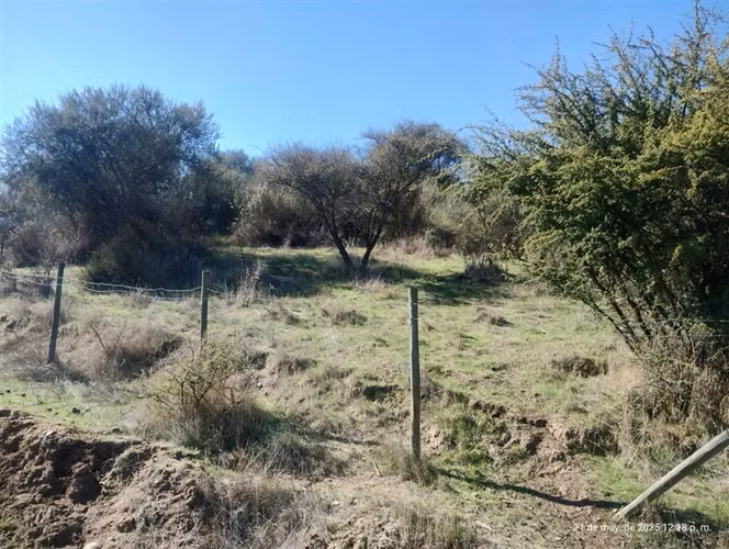 Agrícola en venta en San Pedro