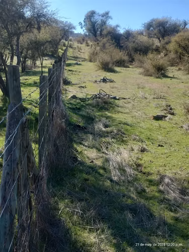 Agrícola en venta en San Pedro