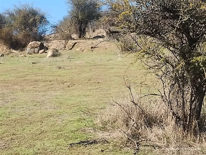 Vendo Parcela San Pedro de Melipilla/Camino Las Golondrinas