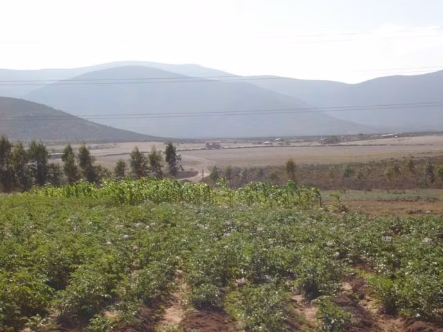 Parcela en Venta en La Serena - Imagen 3