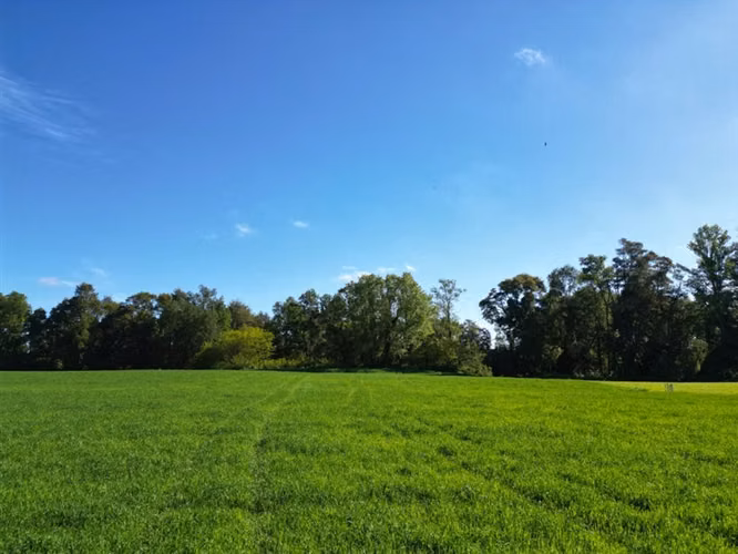 Parcelas en Frutillar, bosques y praderas. Financiamiento