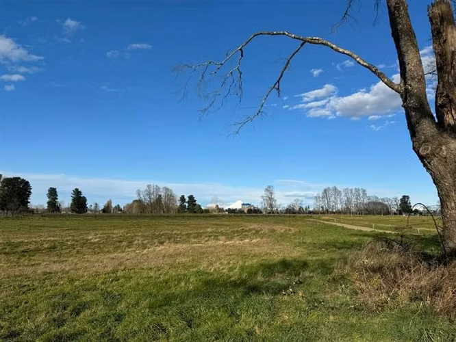 Parcelas en Frutillar, bosques y praderas. Financiamiento