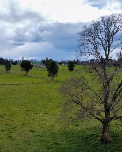 Parcelas a 3 minutos de Paillaco, 40 minutos de Valdivia - Imagen 2