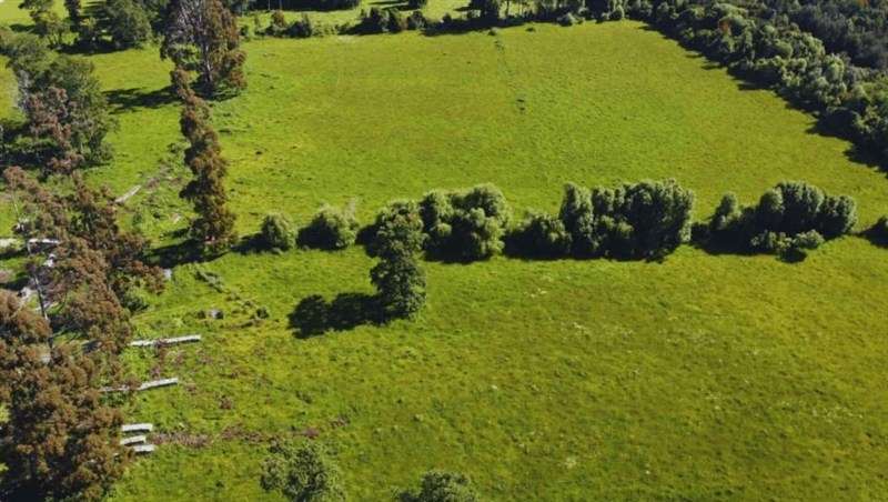 Parcelas a 13 minutos del lago Ranco en Puerto nuevo