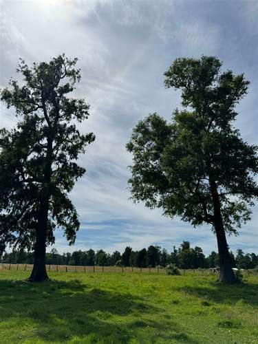 Parcelas a 13 minutos del lago Ranco en Puerto nuevo