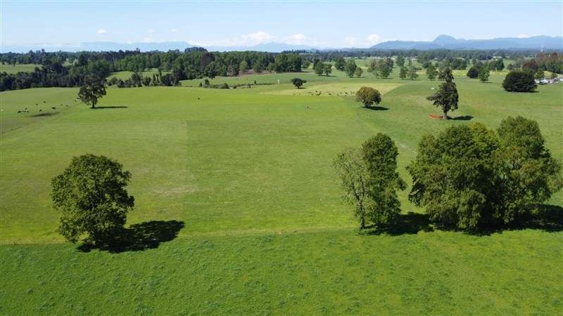 Parcelas a 13 minutos del lago Ranco en Puerto nuevo