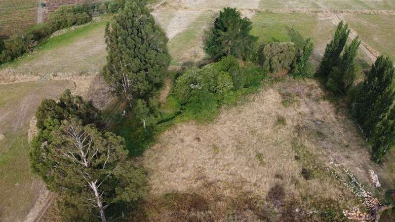 Parcelas a 13 minutos del lago Ranco en Puerto nuevo