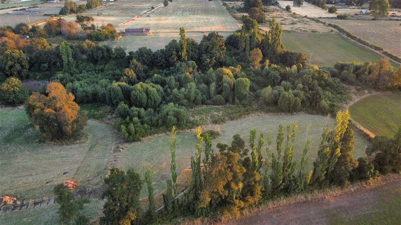 Parcelas a 13 minutos del lago Ranco en Puerto nuevo
