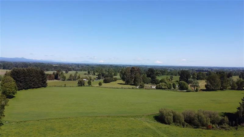 Parcelas a 13 minutos del lago Ranco en Puerto nuevo