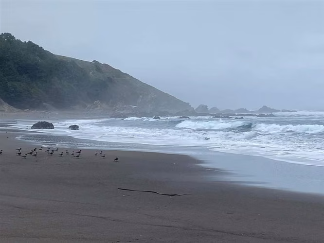 Parcelas semiplanas a 8 minutos del Lago Vichuquén, - Imagen 32