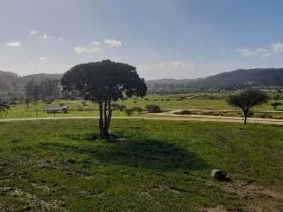 Parcelas semiplanas a 8 minutos del Lago Vichuquén, - Imagen 40