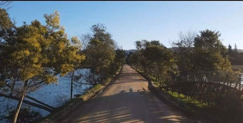 Parcelas semiplanas a 8 minutos del Lago Vichuquén, - Imagen 7