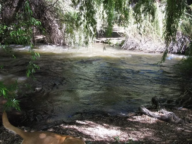 Parcela en venta pahiguano - Imagen 9