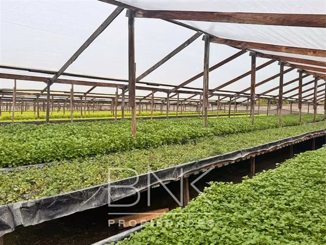 Parcela en venta Lo Herrera San Bernardo - Imagen 8