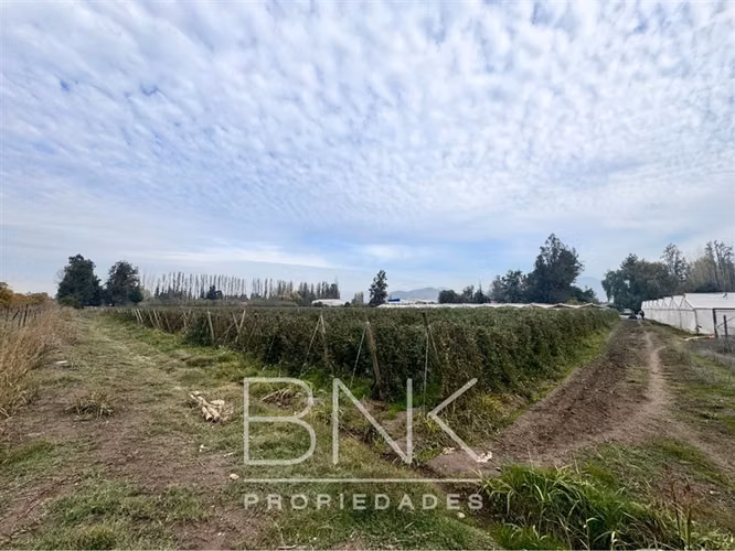 Parcela en venta Lo Herrera San Bernardo - Imagen 10