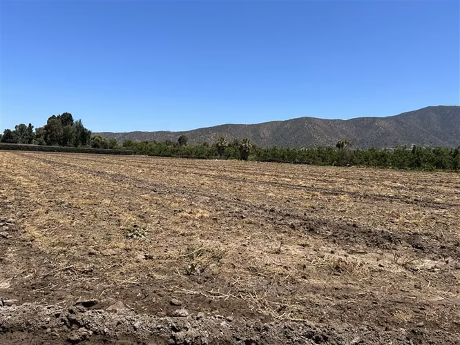 Parcela en venta en María Pinto