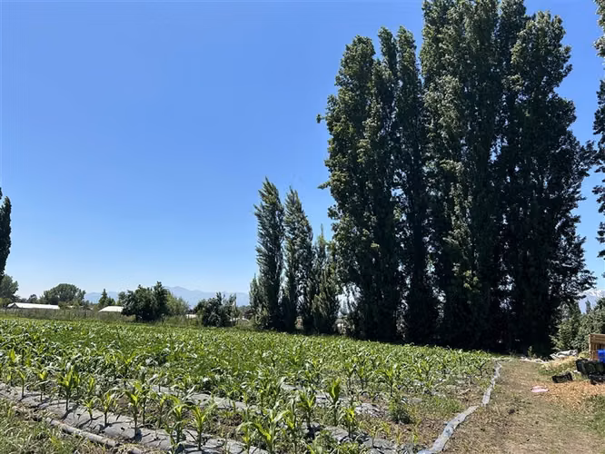 Parcela en venta en María Pinto