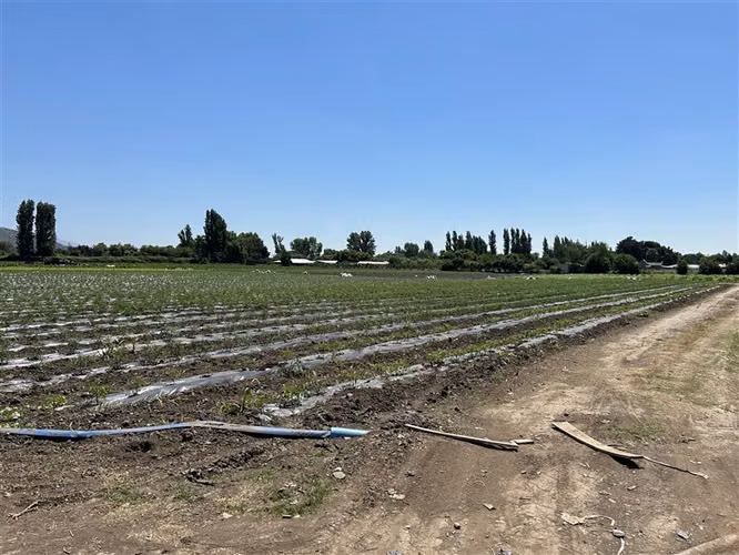 Parcela en venta en María Pinto