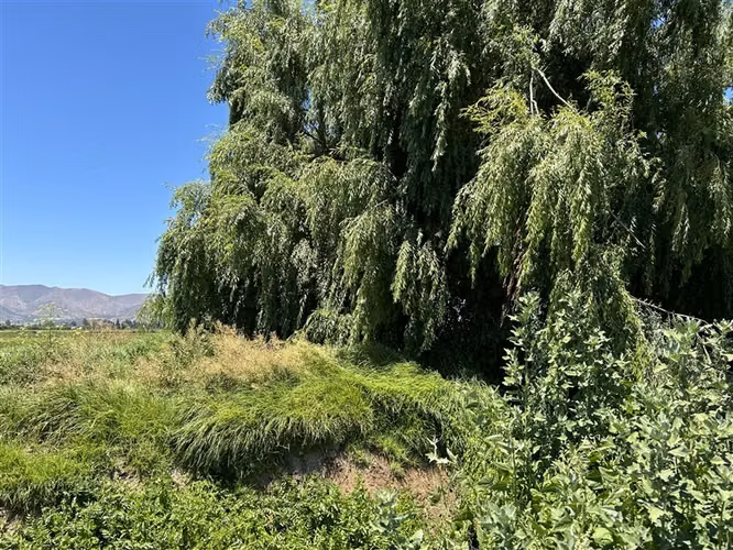 Parcela en venta en María Pinto