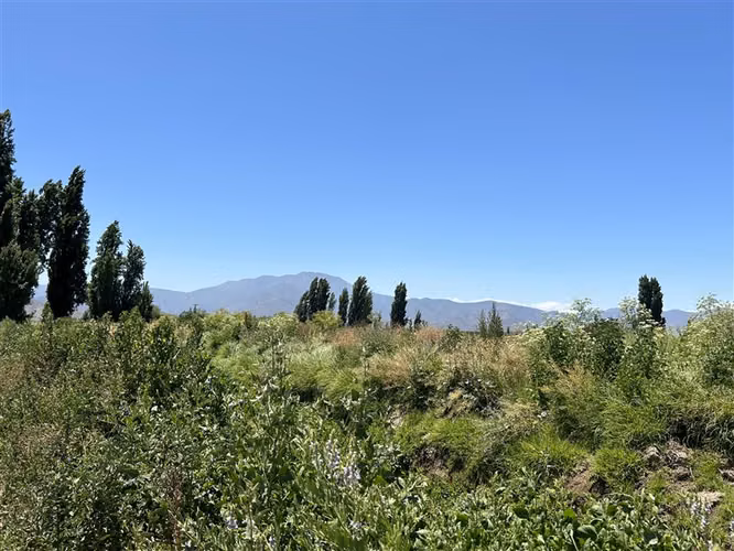 Parcela en venta en María Pinto